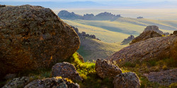 Даурский заповедник