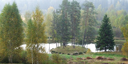 Щелыково