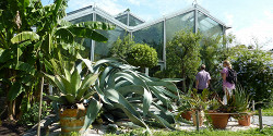Ботанический сад Базельского университета