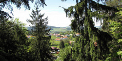 Баварский лес