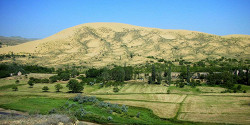 Бархан Сарыкум