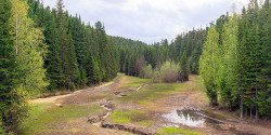Самаровский чугас
