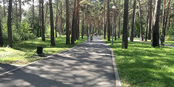 Гилёвская роща в Тюмени
