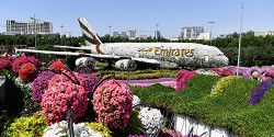 Парк цветов Miracle Garden