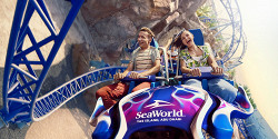 SeaWorld Abu Dhabi