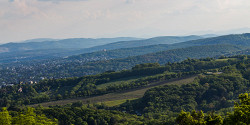 Венский лес