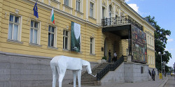 Национальная художественная галерея Болгарии