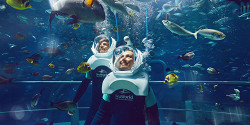 SeaWorld Abu Dhabi