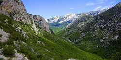 Пакленица