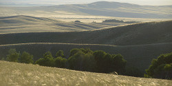 Оренбургский заповедник