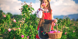 Долина роз