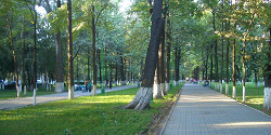 Дубовый парк Бишкека