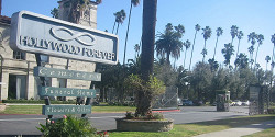 Кладбище Hollywood Forever