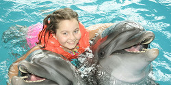 Дельфинарий в Набережных Челнах