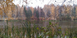 Парк «Харинка»