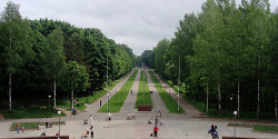 Реадовский лесопарк