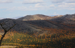 Башкирский заповедник