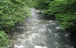 Горые реки, Абхазия