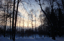 В заснеженном парке, Олонец