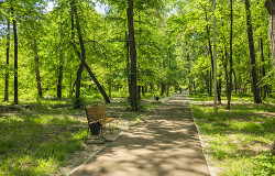 Аллея в парке Елабуги