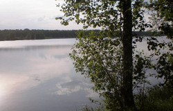 Кусторка, Павлово