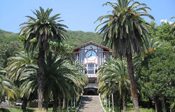 Гагра, ресторан Гагрипш
