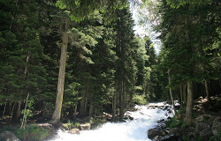 Серебряная река, Домбай, Карачаево-Черкессия, Кавказ