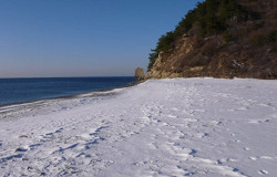 Берега в Прасковеевке