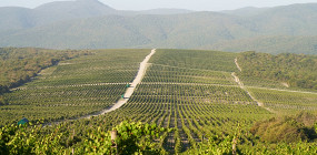 Как выбрать wellness-тур на ферму: от расписания до реальных условий жизни