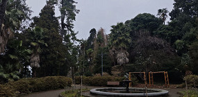 Батуми в феврале: как я потратил деньги на туман и дождь. Отзыв туриста