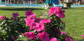 Как в 2005 год попали: отзыв о египетской пятерке Jasmine Palace Resort