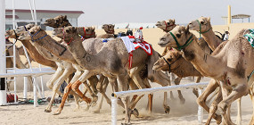 10 фактов о Дубае, которые звучат как фейк, но это правда