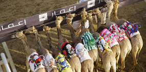 Роботы на верблюдах, полиция на Бентли и еще 7 удивительных фактов о Дубае