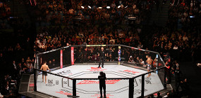 Что такое UFC: полное руководство по бойцовскому чемпионату