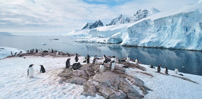 10 фактов об Антарктиде, которые шокируют: неожиданные секреты самого холодного континента