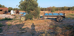 Даже в обуви было противно ступать: отзыв об отеле в Турции