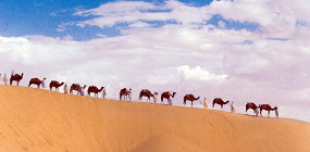 Путешествия в тунисскую Сахару