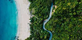 10 рыбок, которые чаще всего встречаются в коралловых рифах Таиланда