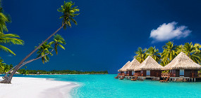 7 причин никогда не отдыхать на Мальдивах