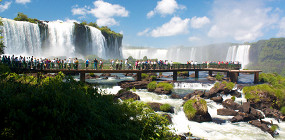 Десять внезапных фактов об Амазонке: река-гигант и ее секреты