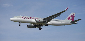 Qatar Airways: провоз животных и спортивного инвентаря