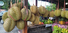 Жизнь здесь учит замедляться: рассказ о переезде на Остров богов