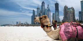 5 мест в Дубае, которые туристам лучше обходить стороной