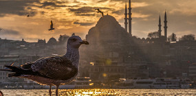 5 мест в Стамбуле, которые туристам лучше обходить стороной