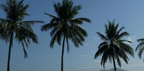 «Вьетнам — это не разовая история»: отзыв об отдыхе в Нячанге в апреле