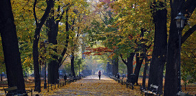 20 самых уютных осенних фото