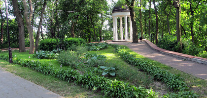 Гомельский парк, клумба