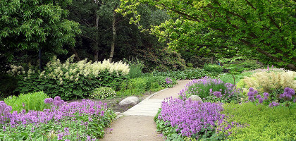 Ботанический сад Гамбурга летом