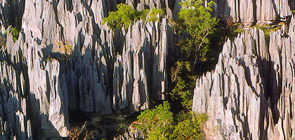 Заповедник Цинги-де-Бемараха, каменный лес