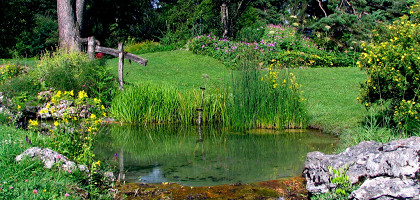 Ботанический сад Женевы, альпийский сад
